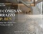 Thi Công Sàn Terrazzo Đẹp, Bền – Mẫu Màu Hot, Báo Giá Tốt
